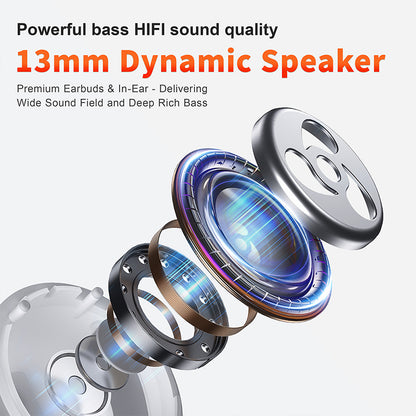 E28 Earphones